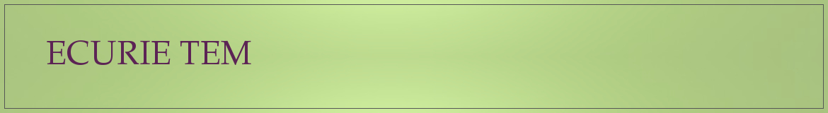 ECURIE TEM